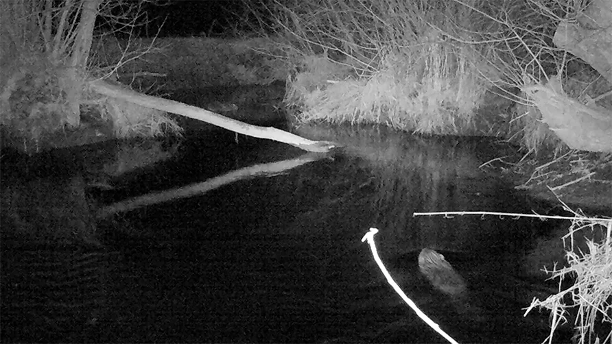 3 Kanal Videoinstallation | 3 channel video installation