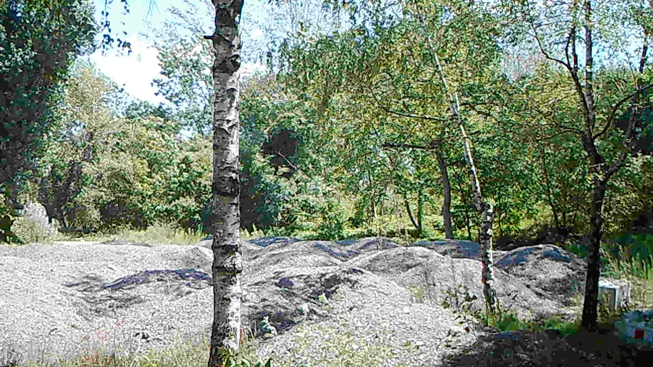 videostill_31-07-2017